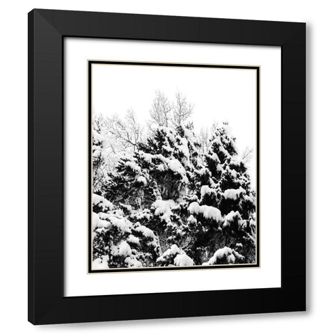 Wintery Dreams II Black Modern Wood Framed Art Print with Double Matting by Carpentieri, Natalie