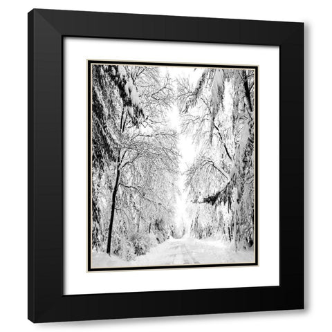 Wintery Dreams Path Black Modern Wood Framed Art Print with Double Matting by Carpentieri, Natalie