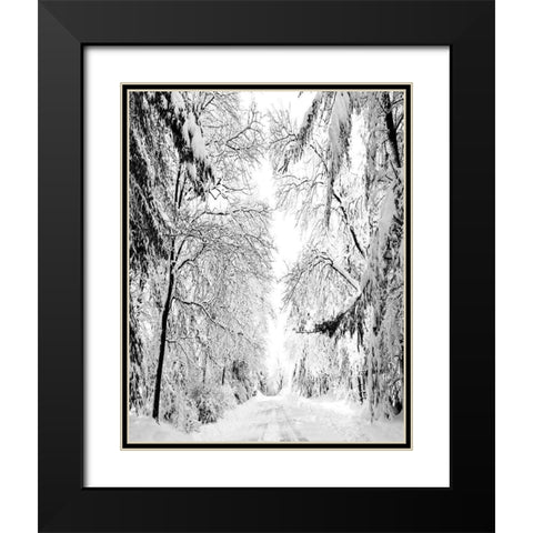 Wintery Dreams Path Black Modern Wood Framed Art Print with Double Matting by Carpentieri, Natalie