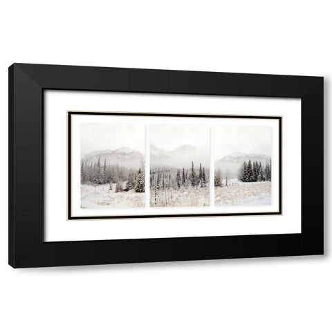 Snowbound Black Modern Wood Framed Art Print with Double Matting by Delimont, Danita