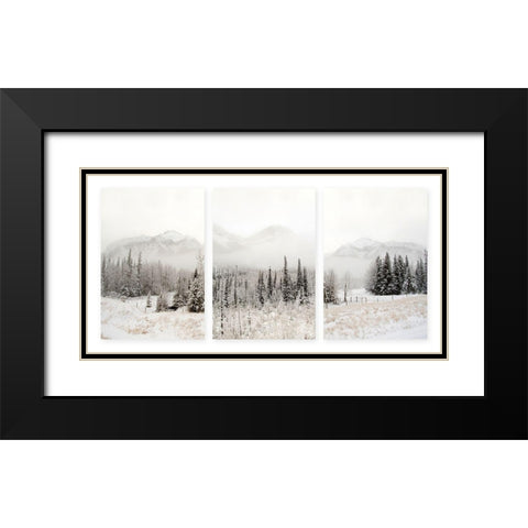 Snowbound Black Modern Wood Framed Art Print with Double Matting by Delimont, Danita