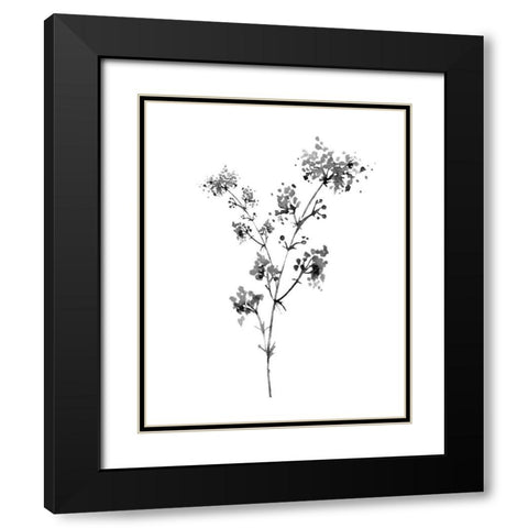 Neutral Washed Botanical I Black Modern Wood Framed Art Print with Double Matting by Knutsen, Conrad