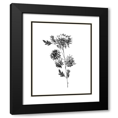 Neutral Washed Botanical II Black Modern Wood Framed Art Print with Double Matting by Knutsen, Conrad