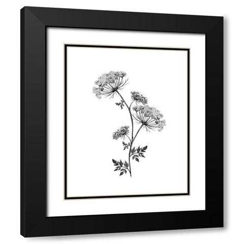 Neutral Washed Botanical III Black Modern Wood Framed Art Print with Double Matting by Knutsen, Conrad