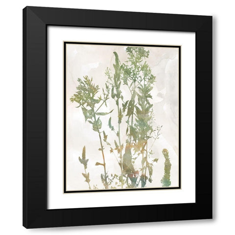 Untamed Garden I Black Modern Wood Framed Art Print with Double Matting by Robinson, Carol