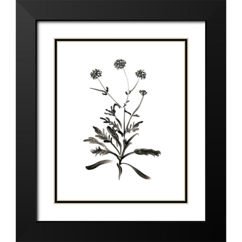 Inky Botanical I Black Modern Wood Framed Art Print with Double Matting by Donovan, Kelly