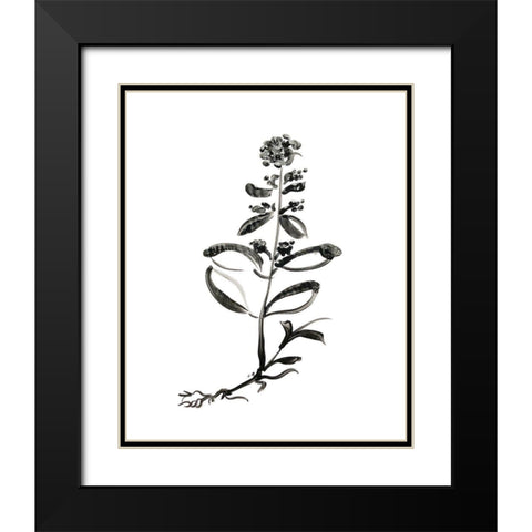 Inky Botanical III Black Modern Wood Framed Art Print with Double Matting by Donovan, Kelly