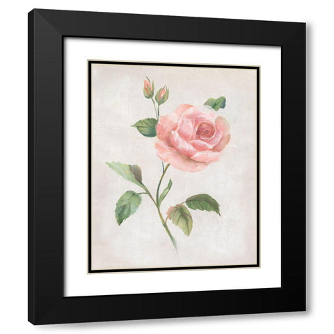 Grandiflora I Black Modern Wood Framed Art Print with Double Matting by Nan