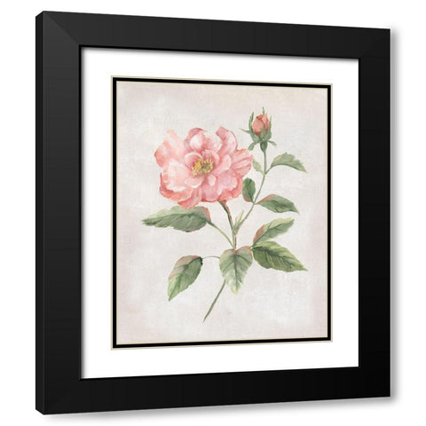 Grandiflora II Black Modern Wood Framed Art Print with Double Matting by Nan