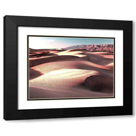 Mojave at Sunset Black Modern Wood Framed Art Print with Double Matting by Delimont, Danita