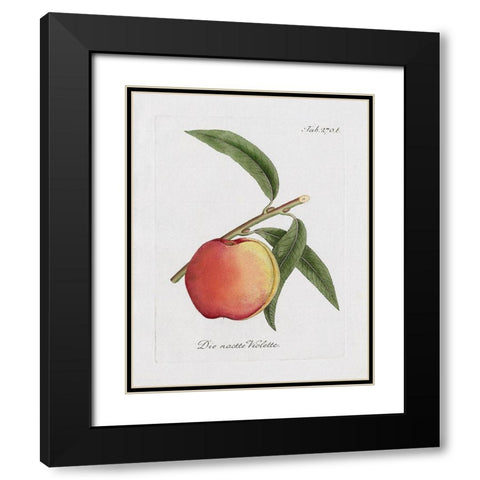 Peachy Keen I Black Modern Wood Framed Art Print with Double Matting by Donovan, Kelly