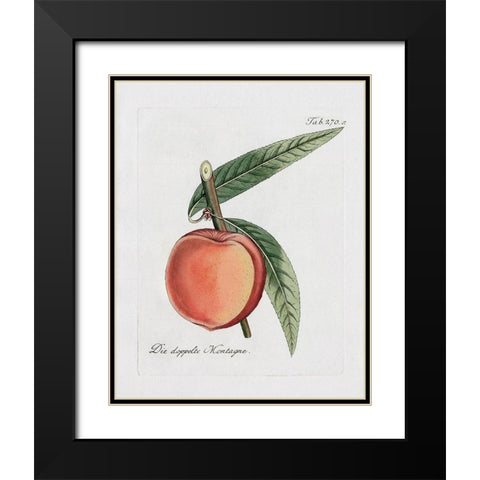 Peachy Keen II Black Modern Wood Framed Art Print with Double Matting by Donovan, Kelly