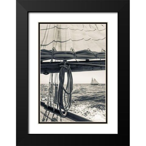Day at the Cape Black Modern Wood Framed Art Print with Double Matting by Delimont, Danita