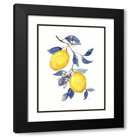 Odyssey Lemons II Black Modern Wood Framed Art Print with Double Matting by Nan