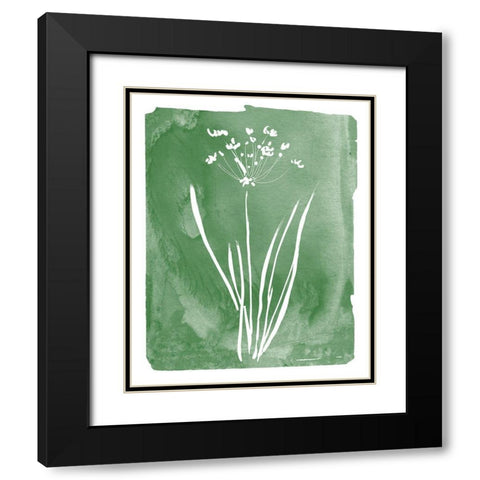 Green Botanical II Black Modern Wood Framed Art Print with Double Matting by Donovan, Kelly