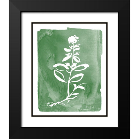 Green Botanical III Black Modern Wood Framed Art Print with Double Matting by Donovan, Kelly