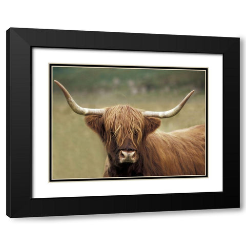 Highland Afternoon Black Modern Wood Framed Art Print with Double Matting by Delimont, Danita