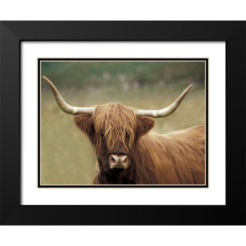 Highland Afternoon Black Modern Wood Framed Art Print with Double Matting by Delimont, Danita