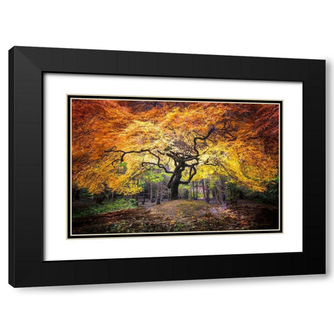Hidden Jewel Black Modern Wood Framed Art Print with Double Matting by Delimont, Danita