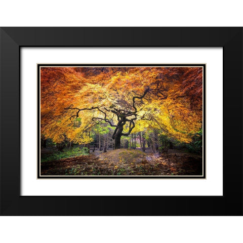 Hidden Jewel Black Modern Wood Framed Art Print with Double Matting by Delimont, Danita