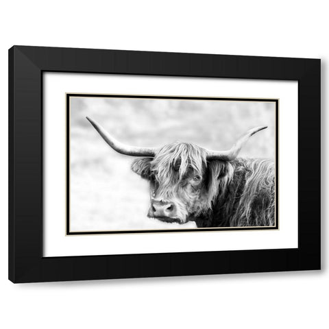 Hairy Highland Hazy Day Black Modern Wood Framed Art Print with Double Matting by Delimont, Danita