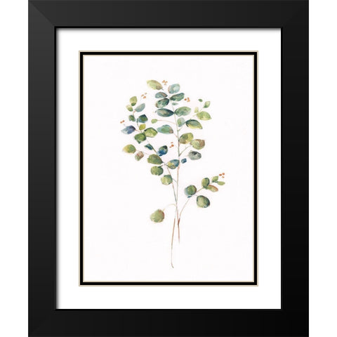 Eucalyptus I Black Modern Wood Framed Art Print with Double Matting by Swatland, Sally