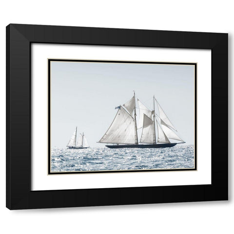 Cape Ann Sails Black Modern Wood Framed Art Print with Double Matting by Delimont, Danita