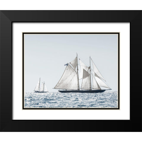 Cape Ann Sails Black Modern Wood Framed Art Print with Double Matting by Delimont, Danita