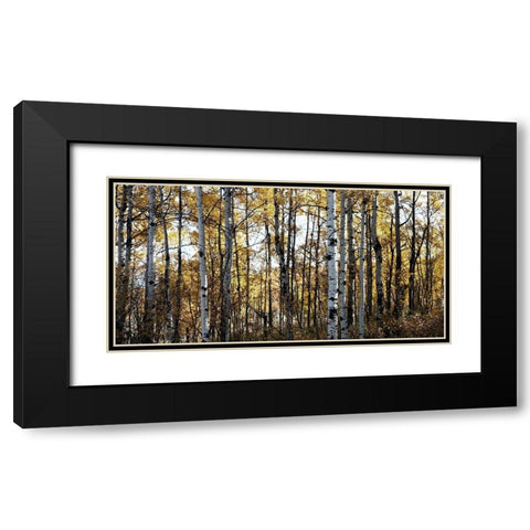 Sunny Grove Black Modern Wood Framed Art Print with Double Matting by Robinson, Carol