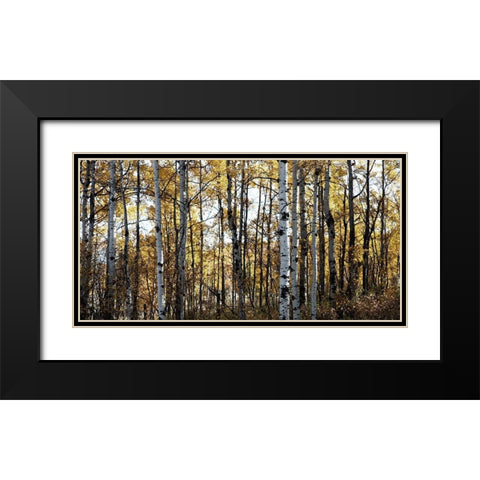 Sunny Grove Black Modern Wood Framed Art Print with Double Matting by Robinson, Carol