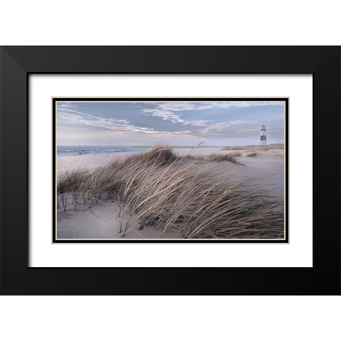 Winter Wind Black Modern Wood Framed Art Print with Double Matting by Calascibetta, Mike