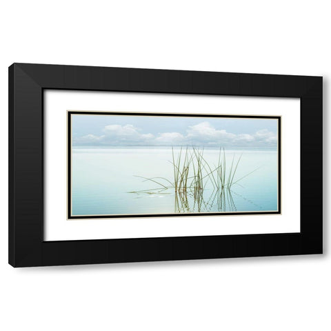 Reflections Black Modern Wood Framed Art Print with Double Matting by Calascibetta, Mike