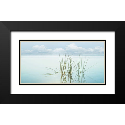 Reflections Black Modern Wood Framed Art Print with Double Matting by Calascibetta, Mike