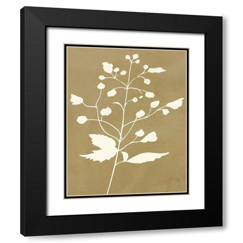 Honey Botanical II Black Modern Wood Framed Art Print with Double Matting by Jill, Susan