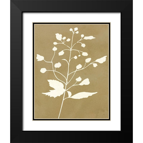 Honey Botanical II Black Modern Wood Framed Art Print with Double Matting by Jill, Susan