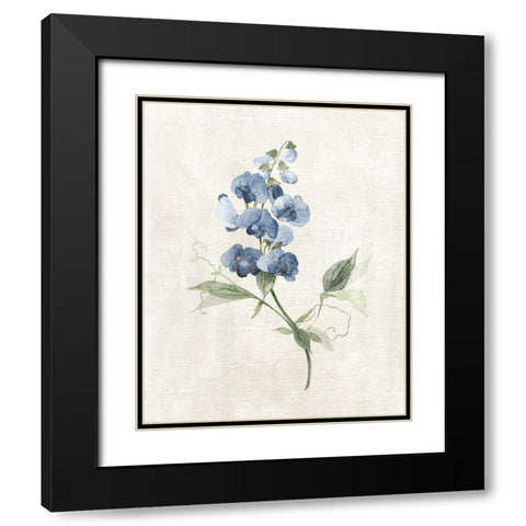 Farmhouse Periwinkle II Black Modern Wood Framed Art Print with Double Matting by Robinson, Carol