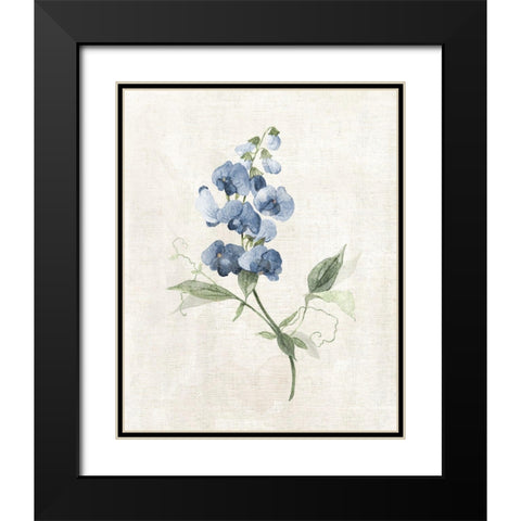 Farmhouse Periwinkle II Black Modern Wood Framed Art Print with Double Matting by Robinson, Carol