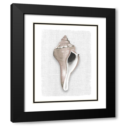 Sea Front Shell II Black Modern Wood Framed Art Print with Double Matting by Robinson, Carol