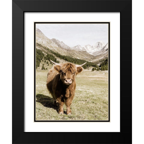 Oetztal Alps Black Modern Wood Framed Art Print with Double Matting by Delimont, Danita