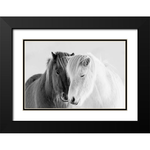 South Iceland Black Modern Wood Framed Art Print with Double Matting by Delimont, Danita