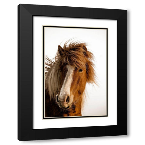 Sunset Light Black Modern Wood Framed Art Print with Double Matting by Delimont, Danita