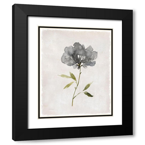 Botanical Beauty I Black Modern Wood Framed Art Print with Double Matting by Robinson, Carol