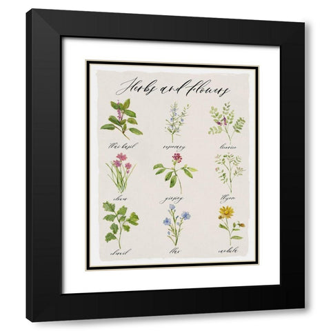 Herbs and Flowers Black Modern Wood Framed Art Print with Double Matting by Swatland, Sally