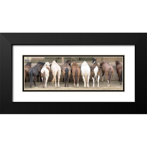 Haystack Happy Black Modern Wood Framed Art Print with Double Matting by Delimont, Danita
