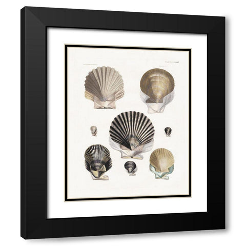 Vintage Shell I Black Modern Wood Framed Art Print with Double Matting by Donovan, Kelly