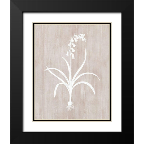 Botany Beauty I Black Modern Wood Framed Art Print with Double Matting by CAD Designs