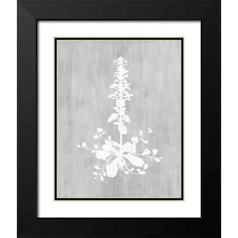 Botany Beauty II Black Modern Wood Framed Art Print with Double Matting by CAD Designs