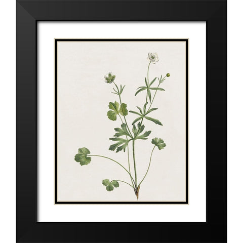 Wispy Botanical II Black Modern Wood Framed Art Print with Double Matting by Donovan, Kelly