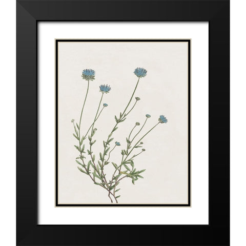 Blue Wispy I Black Modern Wood Framed Art Print with Double Matting by Donovan, Kelly
