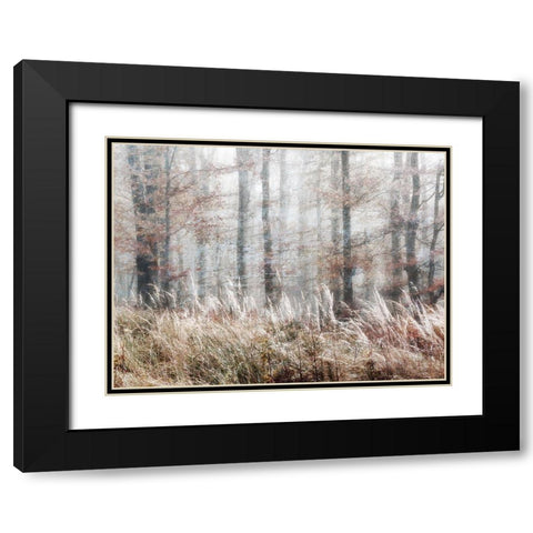 Always Magic in the Woods Black Modern Wood Framed Art Print with Double Matting by Weisz, Irene